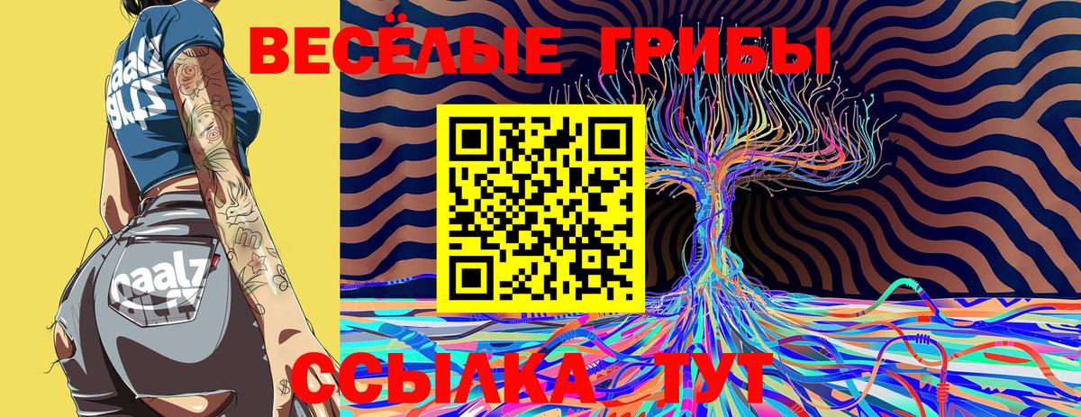 Галлюциногенные грибы Psilocybe  Вход с VPN  Мурманск 