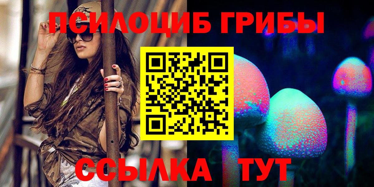 Псилоцибиновые грибы GOLDEN TEACHER Мурманск
