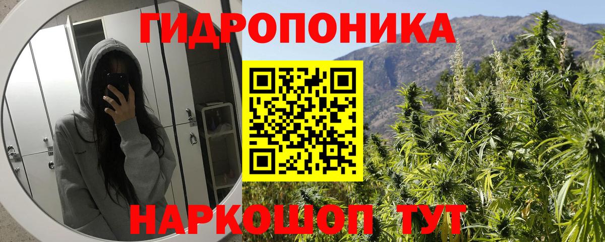 Шишки марихуана THC 21%  Бошки Шишки Ganja  Мурманск  Каннабис LSD WEED  Вход с VPN 